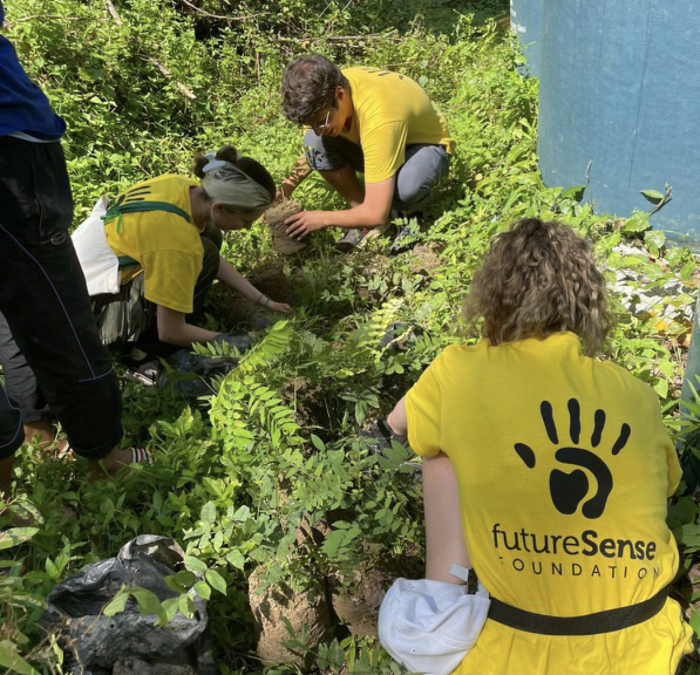 Three people crouch down within greenery, searching through woodland. They wear yellow
                    t-shirts that say ‘Future Sense Foundation